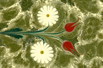 Ebrû con motivi floreali realizzato dal calligrafo turco Fuat Başar. Il disegno è eseguito sulla superficie di un liquido denso composto di bile animale
