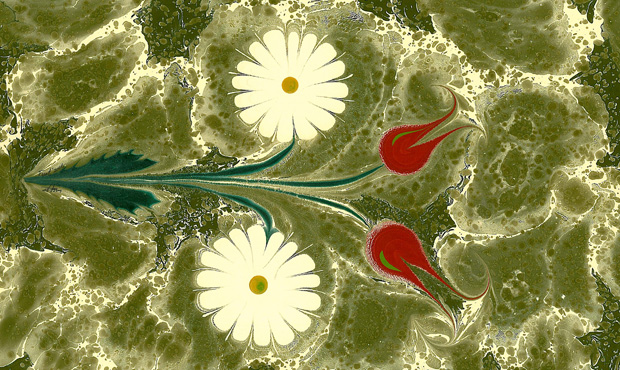Ebrû con motivi floreali realizzato dal calligrafo turco Fuat Başar. Il disegno è eseguito sulla superficie di un liquido denso composto di bile animale