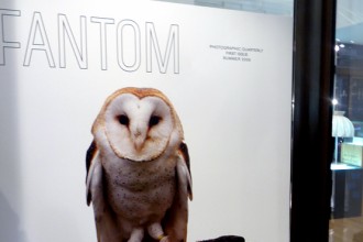 A sinistra la copertina del primo numero di Fantom: "If tomorrow never comes" di Christodoulos Panayiotou. a destra invece una delle immagini di Vincenzo Castella