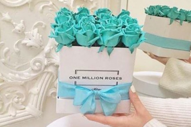 one-million-roses