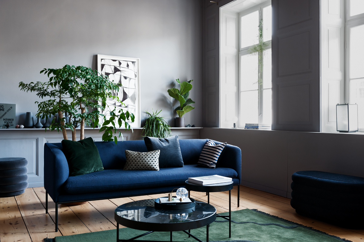 Arredare con le piante: green design per la casa