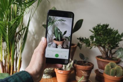 app-cura-piante-2021-still-livingcorriere