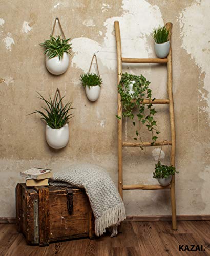 Portavasi da parete di design, per piante come quadri