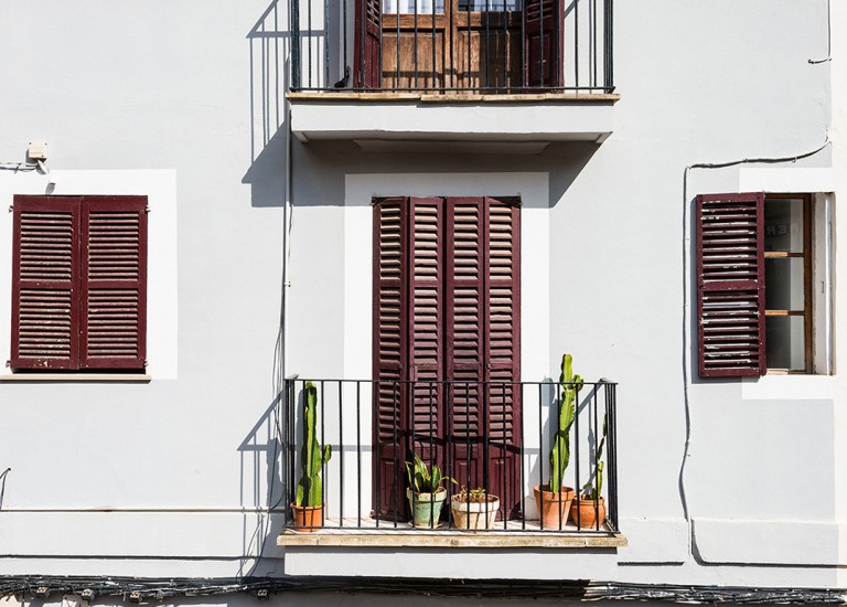 Poco spazio in casa o sul balcone? Ecco le piante che puoi coltivare senza  terra, immerse direttamente in acqua