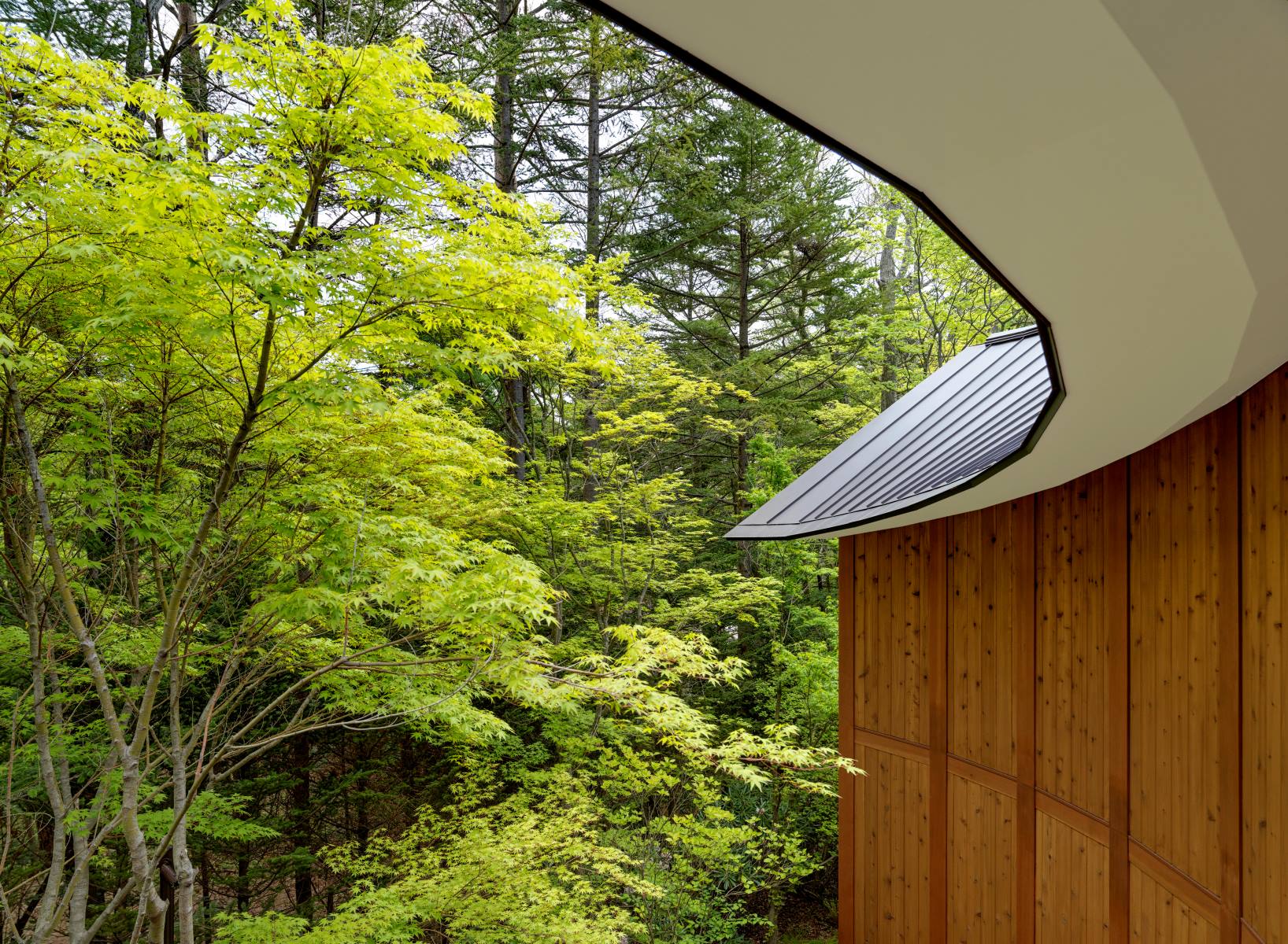 Karuizawa_Shishi-Iwa_House_livingcorriere (2)