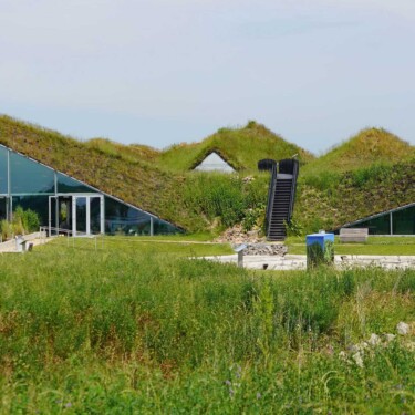 architetture green roof Biesbosch Museum