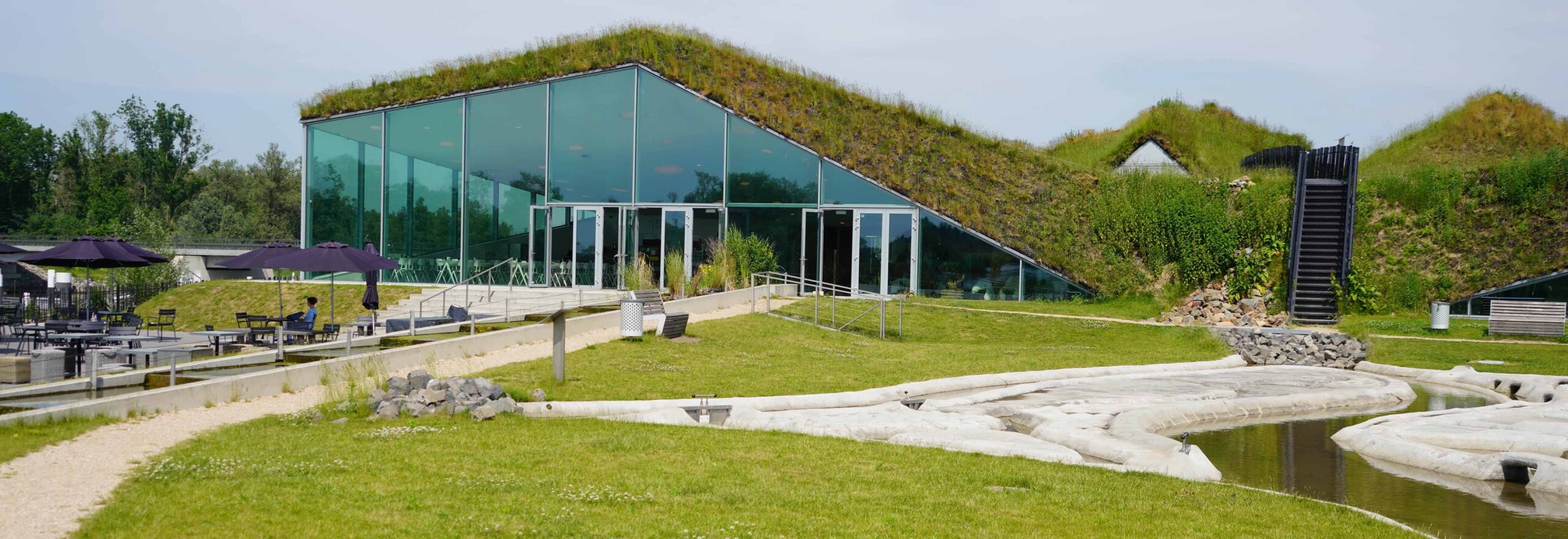 bio architetture green roof Biesbosch Museum