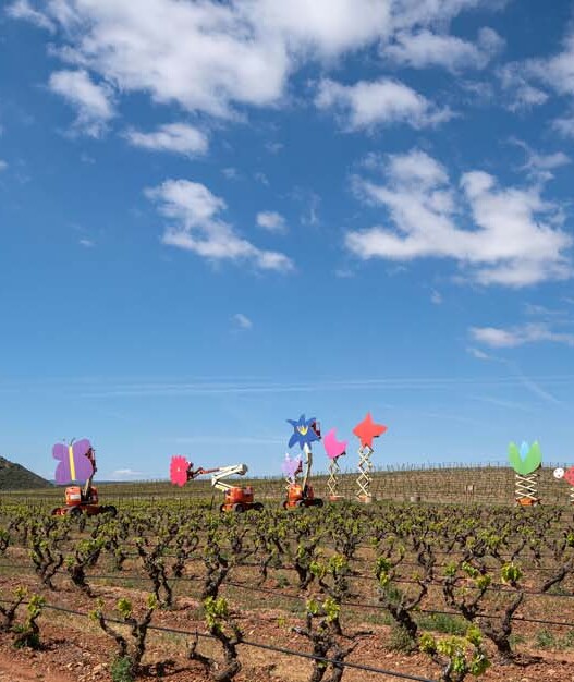 A Logroño in Spagna il festival Concéntrico è un laboratorio di idee open air