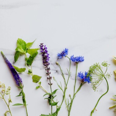 Dal giardino alla cucina: i fiori commestibili